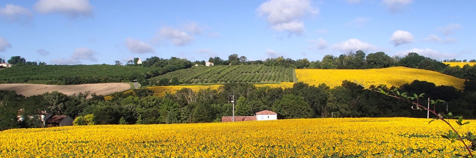 Gîtes en chambre d'hôtes Lencouet