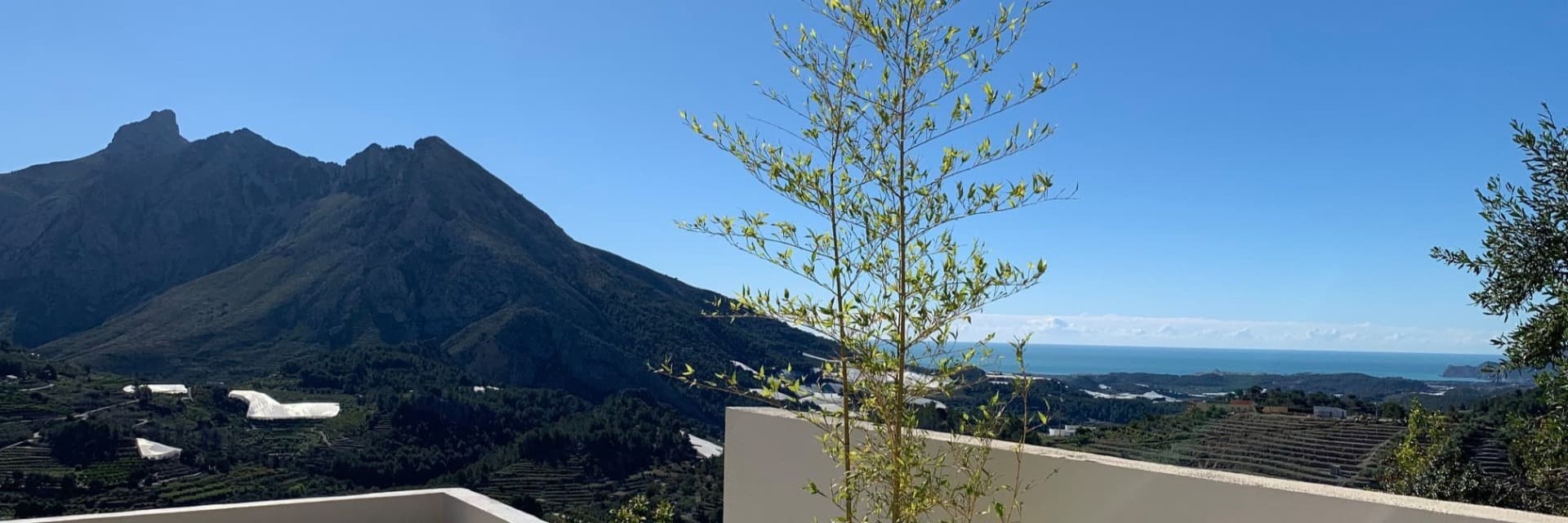 B&B Finca Oliva