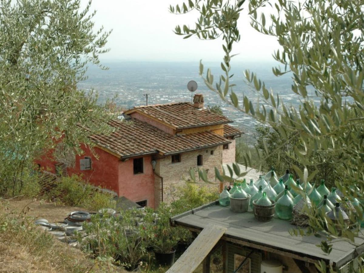 Gli Asini Felici