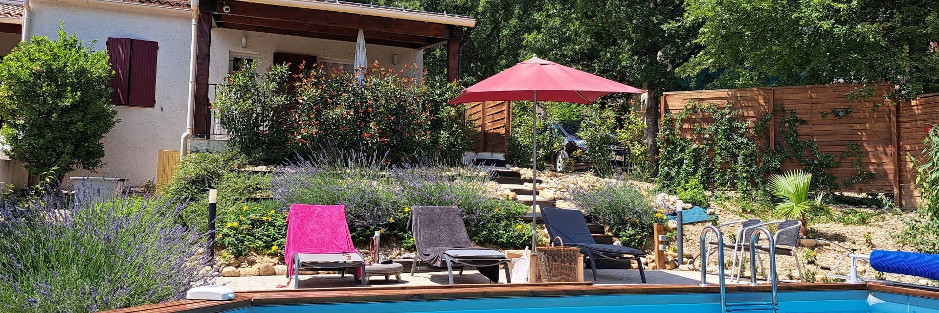 Une Coccinelle en Provence