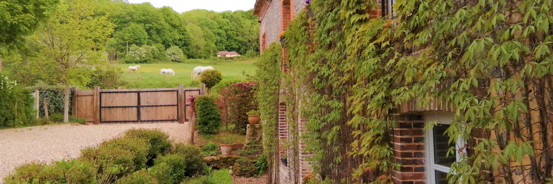 B&B Le Moulin de Sévoux