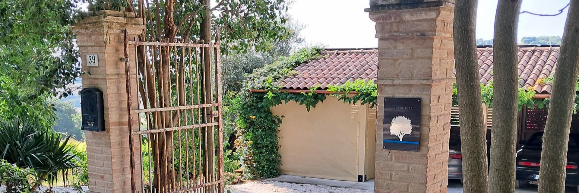 L'ULIVO D'ORO